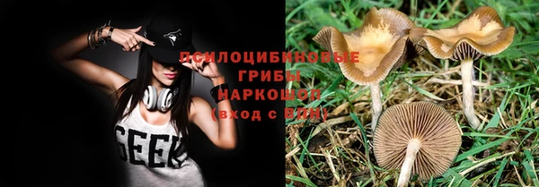 сатива Алексеевка
