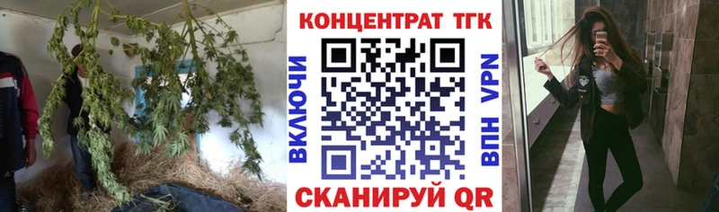 Дистиллят ТГК концентрат  купить закладку  Катайск 