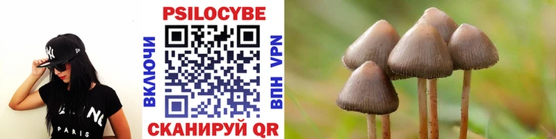 Псилоцибиновые грибы ЛСД  Катайск 